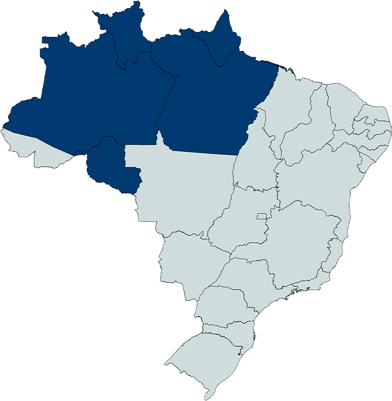 Rio Pará Navegação empresa de transporte fluvial no Rio Amazonas